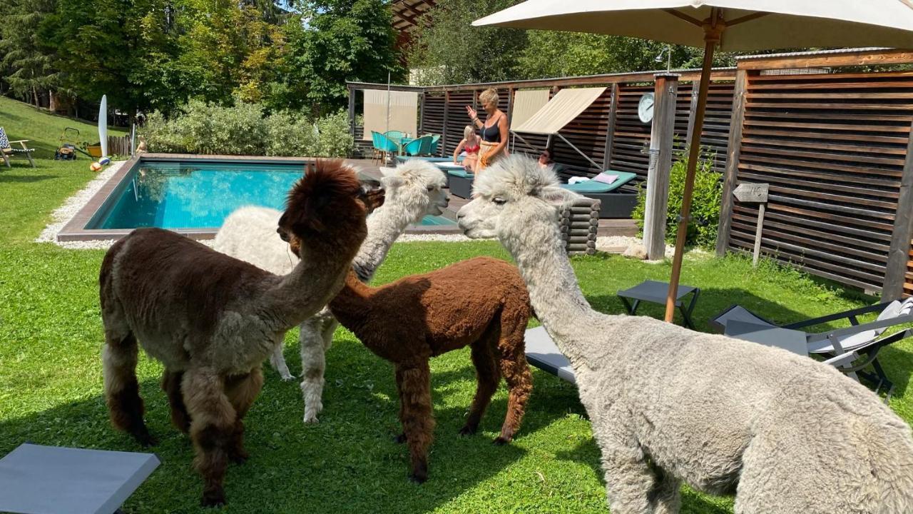 לה וילה Dolomit Boutique Hotel מראה חיצוני תמונה